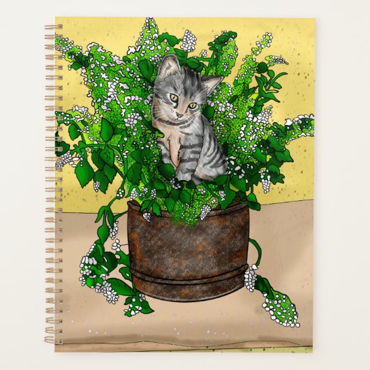 Gray Kitten in Eimer Catnip Planer (Vorderseite)