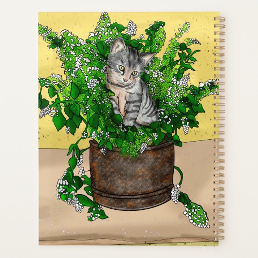 Gray Kitten in Eimer Catnip Planer (Rückseite)