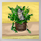 Gray Kitten in Eimer Catnip Poster (Vorne)