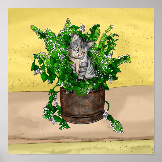 Gray Kitten in Eimer Catnip Poster (Vorne)