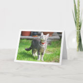 Gray Kitten in Garden Portrait Karte (Vorderseite)