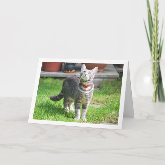 Gray Kitten in Garden Portrait Karte (Vorderseite)