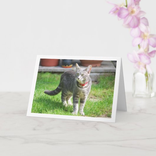 Gray Kitten in Garden Portrait Karte (Orchidee)
