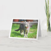 Gray Kitten in Garden Portrait Karte (Vorderseite)