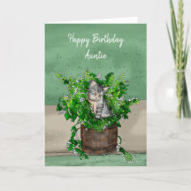 Gray Kitten sitzt in einem Topf Catnip Geburtstag