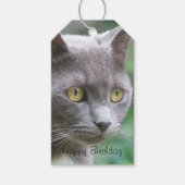 Gray Kitty Cat Geschenkanhänger (Vorderseite)
