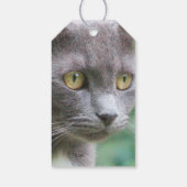 Gray Kitty Cat Geschenkanhänger (Rückseite)