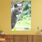 Gray Kitty Cat Leinwanddruck (Insitu (Wohnzimmer))