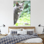 Gray Kitty Cat Leinwanddruck (Insitu (Schlafzimmer))