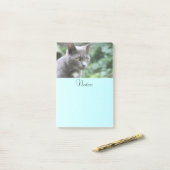 Gray Kitty Cat Post-it Klebezettel (Auf Schreibtisch)