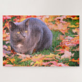 Gray Kitty Cat Puzzle (Horizontal)