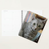 Gray Kitty - Daily Planner - HAMbWG Planer (Anzeige)
