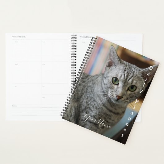 Gray Kitty - Daily Planner - HAMbWG Planer (Anzeige)