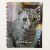 Gray Kitty - Daily Planner - HAMbWG Planer (Vorderseite)