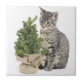 Gray Kitty Green Tree Fliese (Vorderseite)