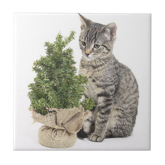 Gray Kitty Green Tree Fliese (Vorderseite)