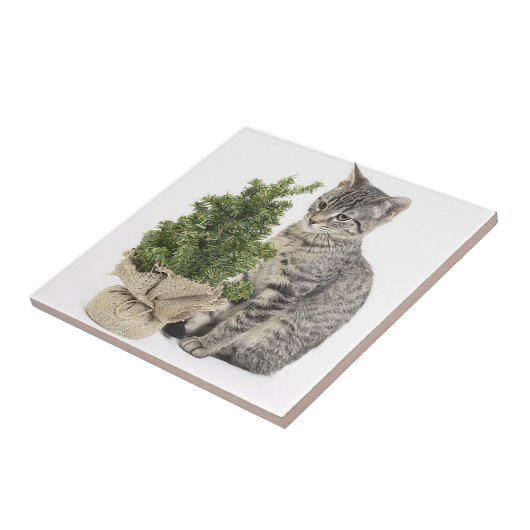 Gray Kitty Green Tree Fliese (Seite)