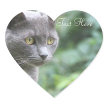 Gray Kitty Heart Sticker