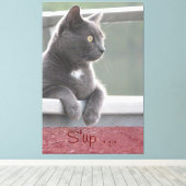 Gray Kitty Leinwanddruck (Insitu (Holzboden))