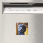 Gray Kitty Magnet (In Situ (Geschirrspüler))