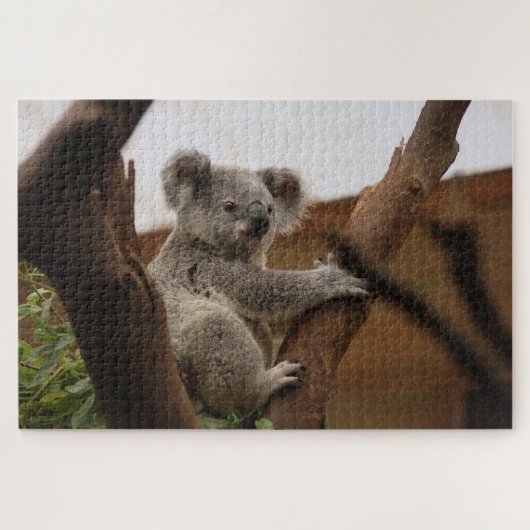 Gray koala Bär auf einem Baum Puzzle (Horizontal)