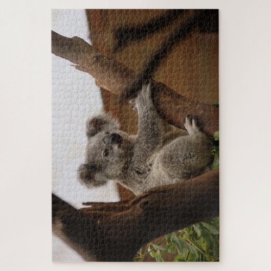 Gray koala Bär auf einem Baum Puzzle (Vertikal)