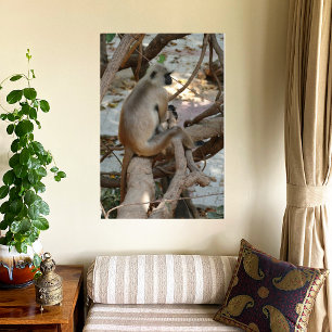 Gray Langur - Erholung nehmen Leinwanddruck