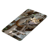 Gray Langur - Erholung nehmen Magnet (Linke Seite)