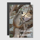Gray Langur - Erholung nehmen Magnetkarte (Vorne/Hinten)