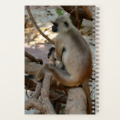 Gray Langur - Erholung nehmen Notizblock (Rückseite)