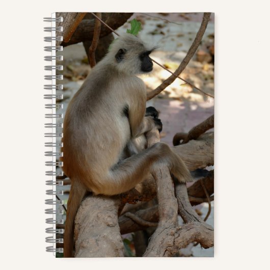 Gray Langur - Erholung nehmen Notizblock (Vorderseite)