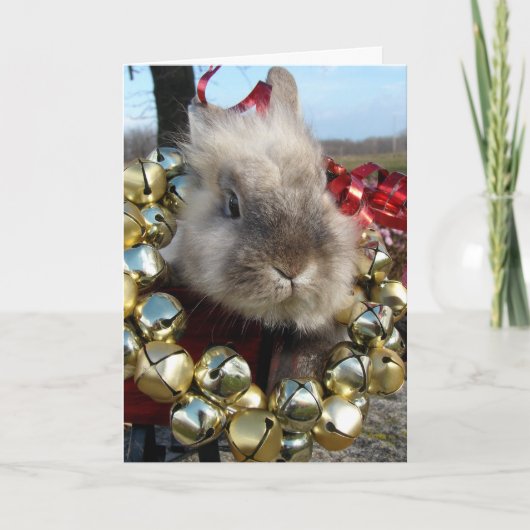 Gray Lionhead Bunny Christmas Feiertagskarte (Vorderseite)