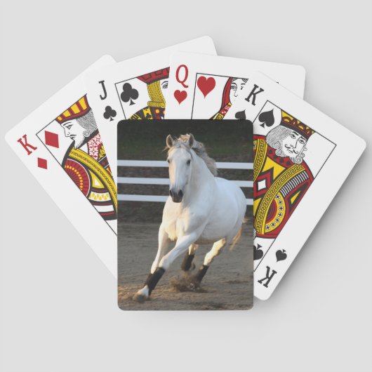 Gray Lusitano, Liberty Playing Cards Spielkarten (Rückseite)