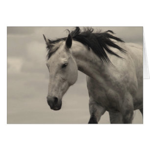 Gray Mare