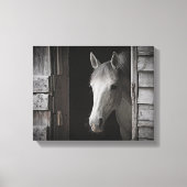 Gray Mare Horse B&W HORSES Wrapped Canvas Leinwanddruck (Vorderseite)