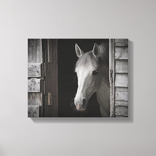 Gray Mare Horse B&W HORSES Wrapped Canvas Leinwanddruck (Vorderseite)