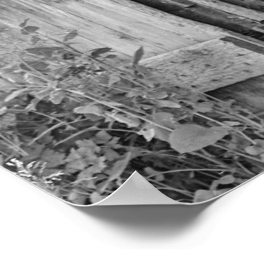 Gray Mare Horse & Barn Poster (Ecke)