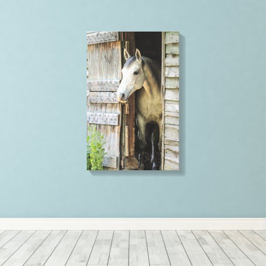 Gray Mare Horse & Barn Rustikale Canvas Print Leinwanddruck (Insitu (Holzboden))