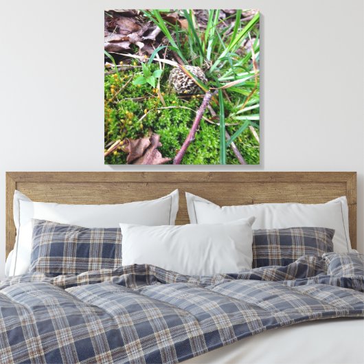 Gray Morel auf Leinwand (Insitu (Schlafzimmer))