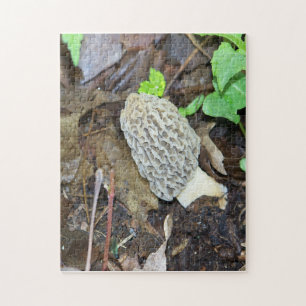 Gray Morel Mushroom Puzzle