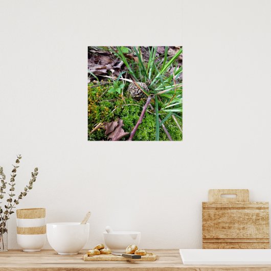 Gray Morel Poster (Küche)