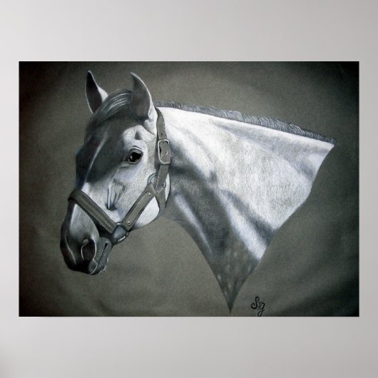Gray on Gray Poster (Vorne)