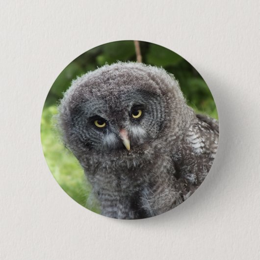 GRAY OWL BUTTON (Vorderseite)