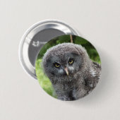 GRAY OWL BUTTON (Vorne & Hinten)