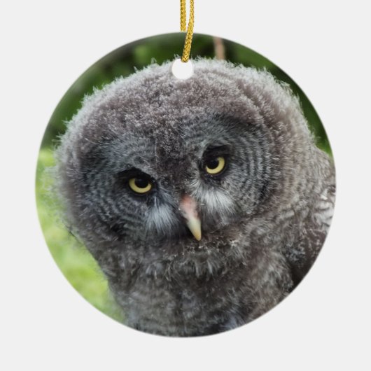 GRAY OWL KERAMIK ORNAMENT (Vorne)