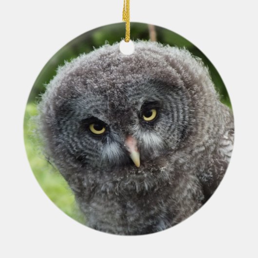 GRAY OWL KERAMIK ORNAMENT (Hinten)
