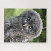 GRAY OWL PUZZLE (Horizontal)