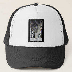 Gray Pack Wolf Alpha Wildlife Art Hat Truckerkappe