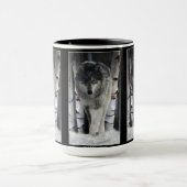 GRAY PACK WOLF Wildlife Gift Tasse (Zentrum)