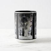 GRAY PACK WOLF Wildlife Gift Tasse (Mittel)
